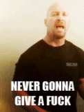 tumblr_lq0d3iJK9P1qhiozwo1_250-1.gif