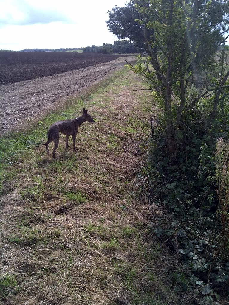 IMG-20110917-00291.jpg