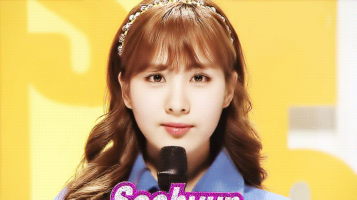 Anis_ShortyRingo