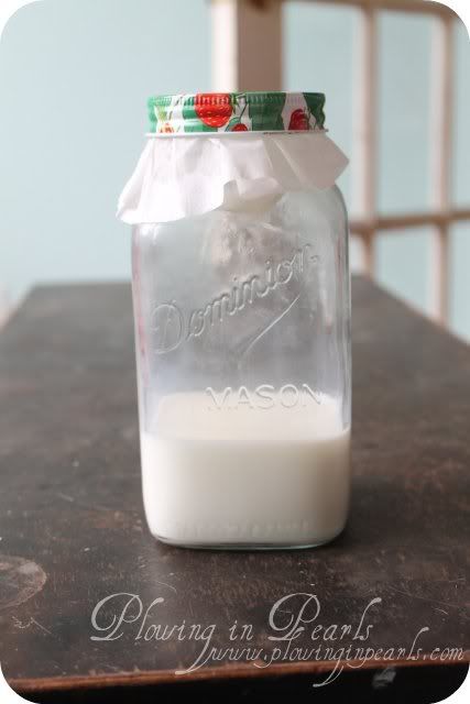 Milk