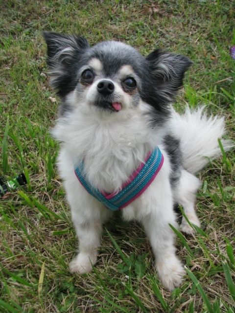 0f3f48b6-0daa-4741-8f31-21581866b7e8_zps