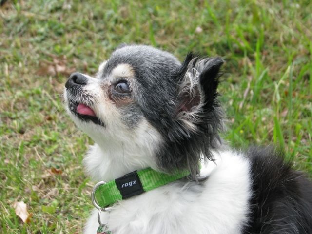 88cb2c4a-7dc7-4402-9160-2c93a257123e_zps