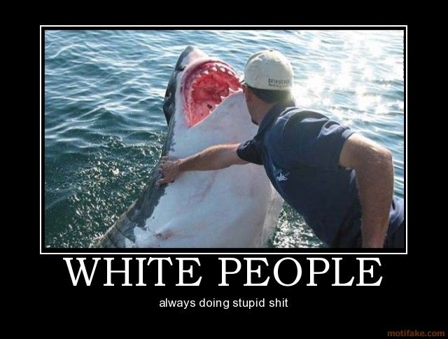 white-people-white-people-sharks-demotivational-poster-1208534843.jpg