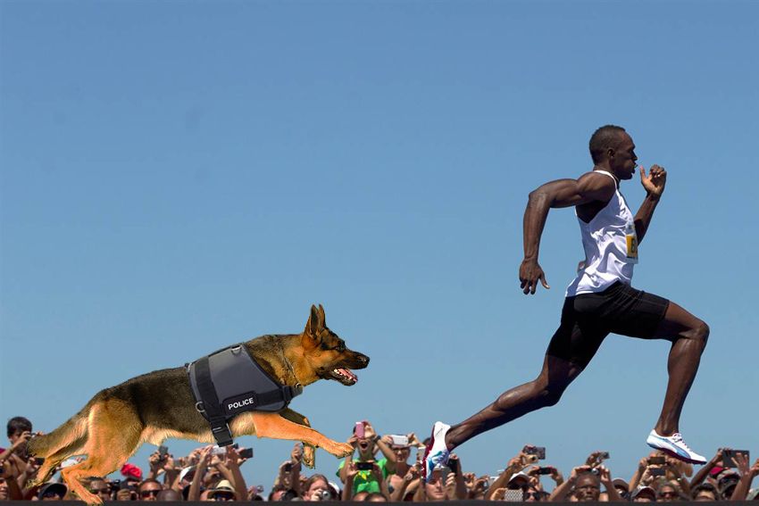 i1076.photobucket.com