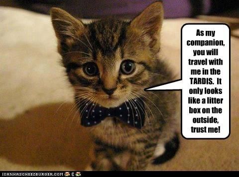 doctorkitten.jpg