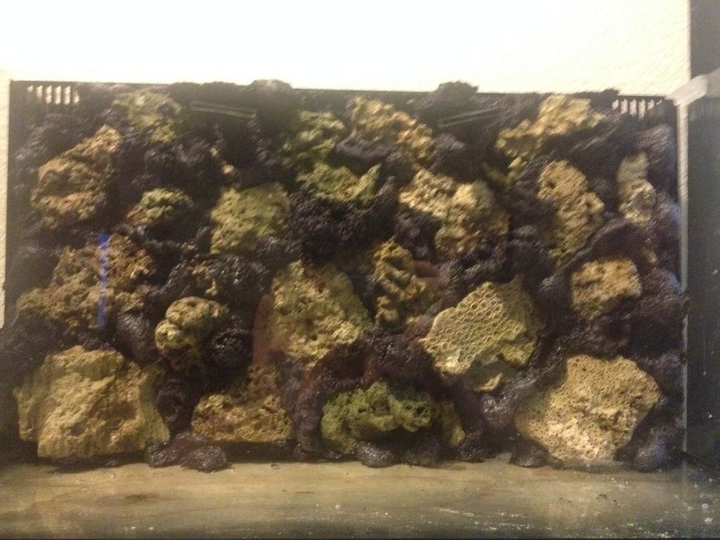 Diy foam rock back wall. REEF2REEF Saltwater and Reef Aquarium Forum