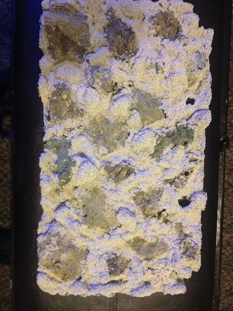 Diy foam rock back wall. REEF2REEF Saltwater and Reef Aquarium Forum