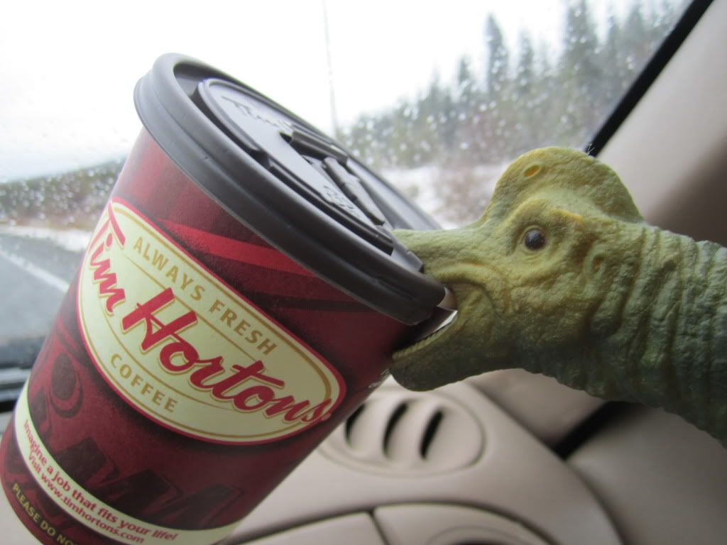 tim hortons