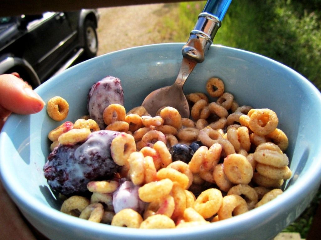 Cereal and Berry Breakfast