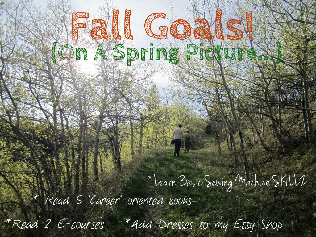 IMG_2506, A list of fall Goals for my life on campyattributes.blogspot.com