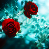http://i1076.photobucket.com/albums/w457/Dar_Ka/0408660f4370cdac9e4347364a809a65.png