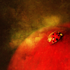 http://i1076.photobucket.com/albums/w457/Dar_Ka/1-12.png