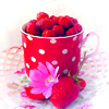 http://i1076.photobucket.com/albums/w457/Dar_Ka/1-13.png