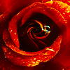 http://i1076.photobucket.com/albums/w457/Dar_Ka/150654ce660175a07eb786a62d045777-d4b4dzg.png