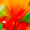 http://i1076.photobucket.com/albums/w457/Dar_Ka/1dfc70afd2de11da744c43a1cfbe2f98.png