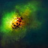 http://i1076.photobucket.com/albums/w457/Dar_Ka/2-10.png