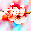 http://i1076.photobucket.com/albums/w457/Dar_Ka/2f55addc91765edc66c4c642bf6a870c-d4rsg70.png