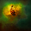 http://i1076.photobucket.com/albums/w457/Dar_Ka/3-4.png