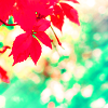 http://i1076.photobucket.com/albums/w457/Dar_Ka/3984d9708182d39d44a7e32cf9367077.png