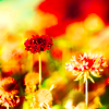 http://i1076.photobucket.com/albums/w457/Dar_Ka/4c61c4ddcf8dce80f591ab8da3d933dd.png