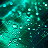 http://i1076.photobucket.com/albums/w457/Dar_Ka/4f127a2b4f1ab8a43273c133e8afa126.png