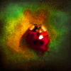 http://i1076.photobucket.com/albums/w457/Dar_Ka/5-5.png