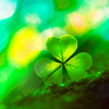http://i1076.photobucket.com/albums/w457/Dar_Ka/59062f89b4443a30a6299ada9b30b5f6.png