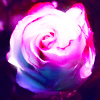 http://i1076.photobucket.com/albums/w457/Dar_Ka/83bbef7be69371e578b065d729a69045-d305267.png