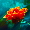 http://i1076.photobucket.com/albums/w457/Dar_Ka/8a3e0a8d7057cacf71814893d45c58ef-d4bl83p.png