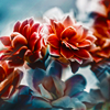 http://i1076.photobucket.com/albums/w457/Dar_Ka/Break_The_Night_With_Color_by_r3novatio.png