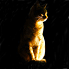 http://i1076.photobucket.com/albums/w457/Dar_Ka/Cat_by_Jmcio.png