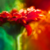 http://i1076.photobucket.com/albums/w457/Dar_Ka/R_a_i_n_t_o_u_c_h_e_d_by_r3novatio.png