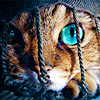 http://i1076.photobucket.com/albums/w457/Dar_Ka/Remastered__The_Original_by_linyphia.png