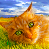 http://i1076.photobucket.com/albums/w457/Dar_Ka/The_CAT.png