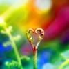 http://i1076.photobucket.com/albums/w457/Dar_Ka/The_Nature_of_Love_by_P0RG.png