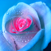 http://i1076.photobucket.com/albums/w457/Dar_Ka/The_heart_of_a_rose_by_WhiteBook.png