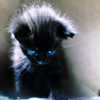 http://i1076.photobucket.com/albums/w457/Dar_Ka/This_is_a_cat__s_world_2_by_Michelangelo84.png