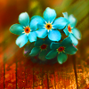 http://i1076.photobucket.com/albums/w457/Dar_Ka/cfe97d02e328e67d0b4768e54052a307-d369uf4.png