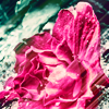 http://i1076.photobucket.com/albums/w457/Dar_Ka/cold__cold_heart_by_darkdex52-d34x32l.png