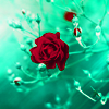 http://i1076.photobucket.com/albums/w457/Dar_Ka/e065efce06aa9e3dca2a9f3047a44b5a.png