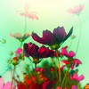 http://i1076.photobucket.com/albums/w457/Dar_Ka/e3e2e08da4108bb4f725e04ad43b3694.png