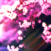 http://i1076.photobucket.com/albums/w457/Dar_Ka/original_sin___fixed_link_by_jyoujo-d3ccfdn.png