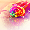 http://i1076.photobucket.com/albums/w457/Dar_Ka/rainbow_rose_by_eliseenchanted-d3n8lgg.png
