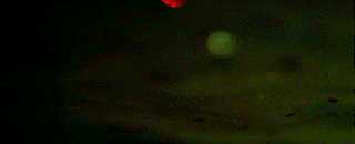 http://i1076.photobucket.com/albums/w457/Dar_Ka/rktnrf-3-1.gif