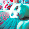 http://i1076.photobucket.com/albums/w457/Dar_Ka/waiting_for_my_cat_prince_by_hawflakes.png