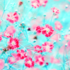 http://i1076.photobucket.com/albums/w457/Dar_Ka/you_make_me_happy_by_lpdragonfly-d3iscbm.png