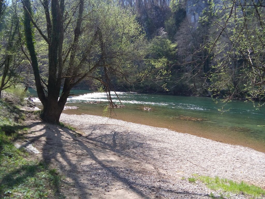 slika