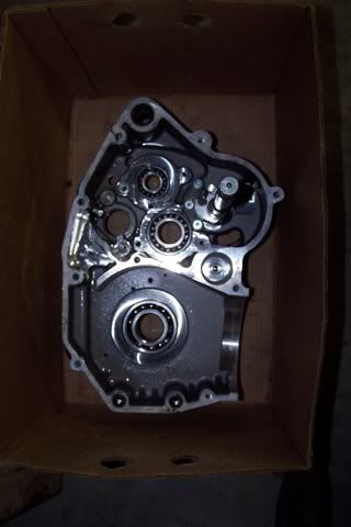 Posted Image