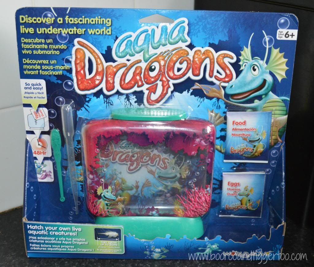 REVIEW: Aqua Dragons  Boo Roo and Tigger Too