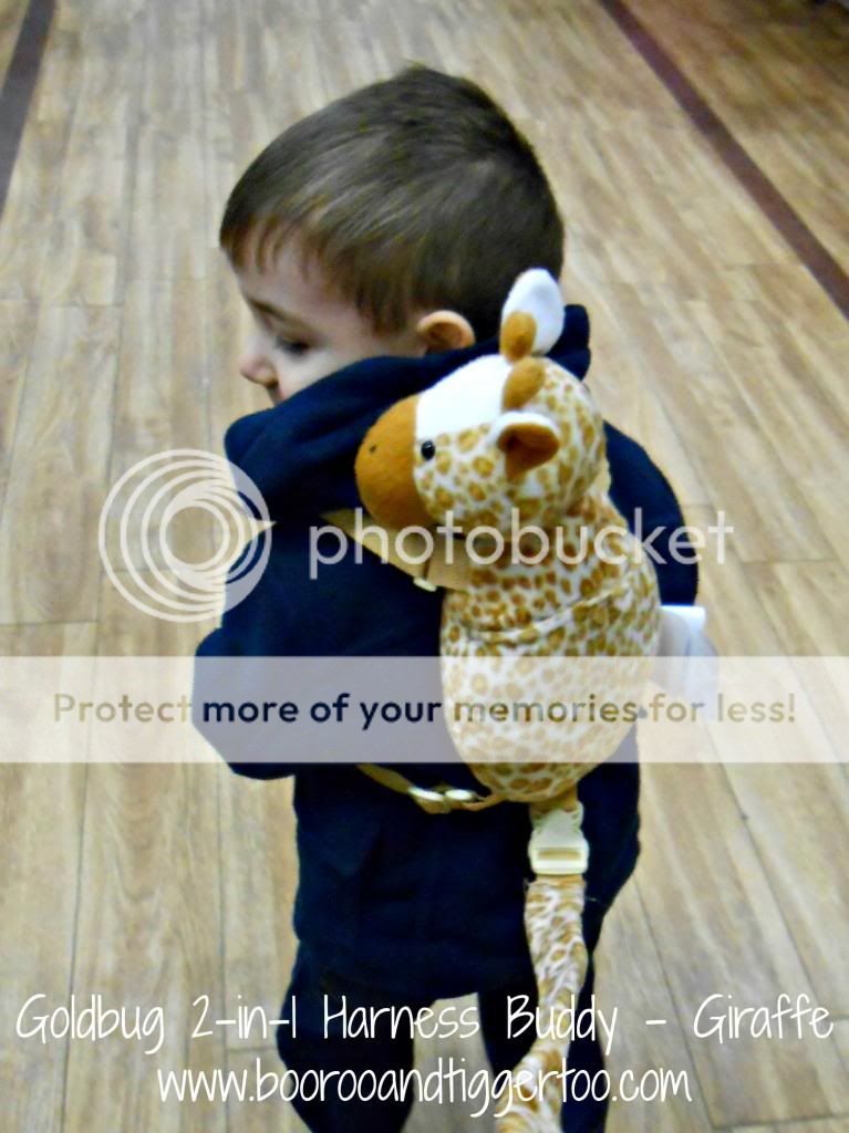 A little boy that is holding a stuffed animal